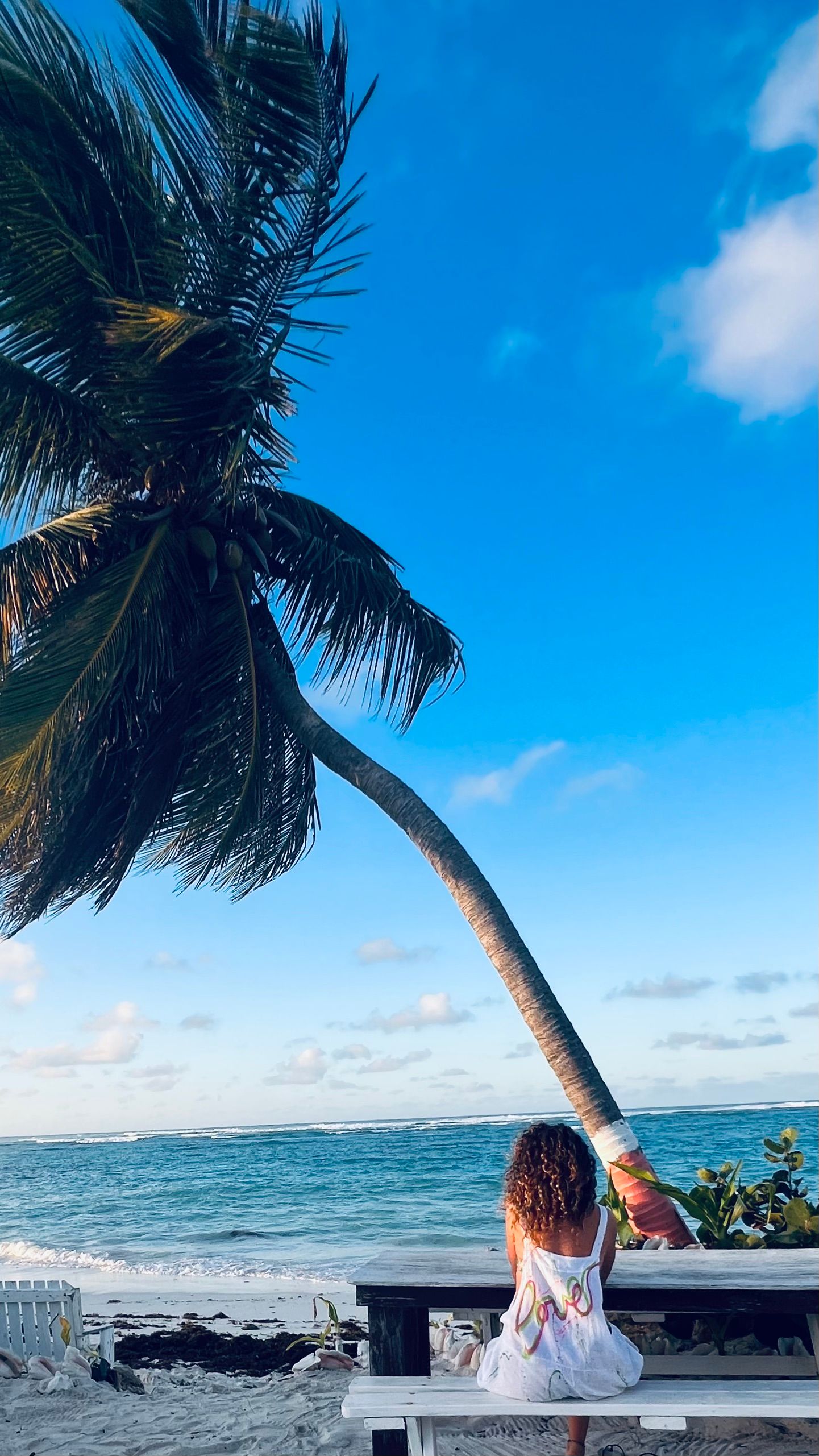 A woman in a white dress sits on a wooden beach bench facing the turquoise sea, beneath a palm tree leaning across a bright blue sky.