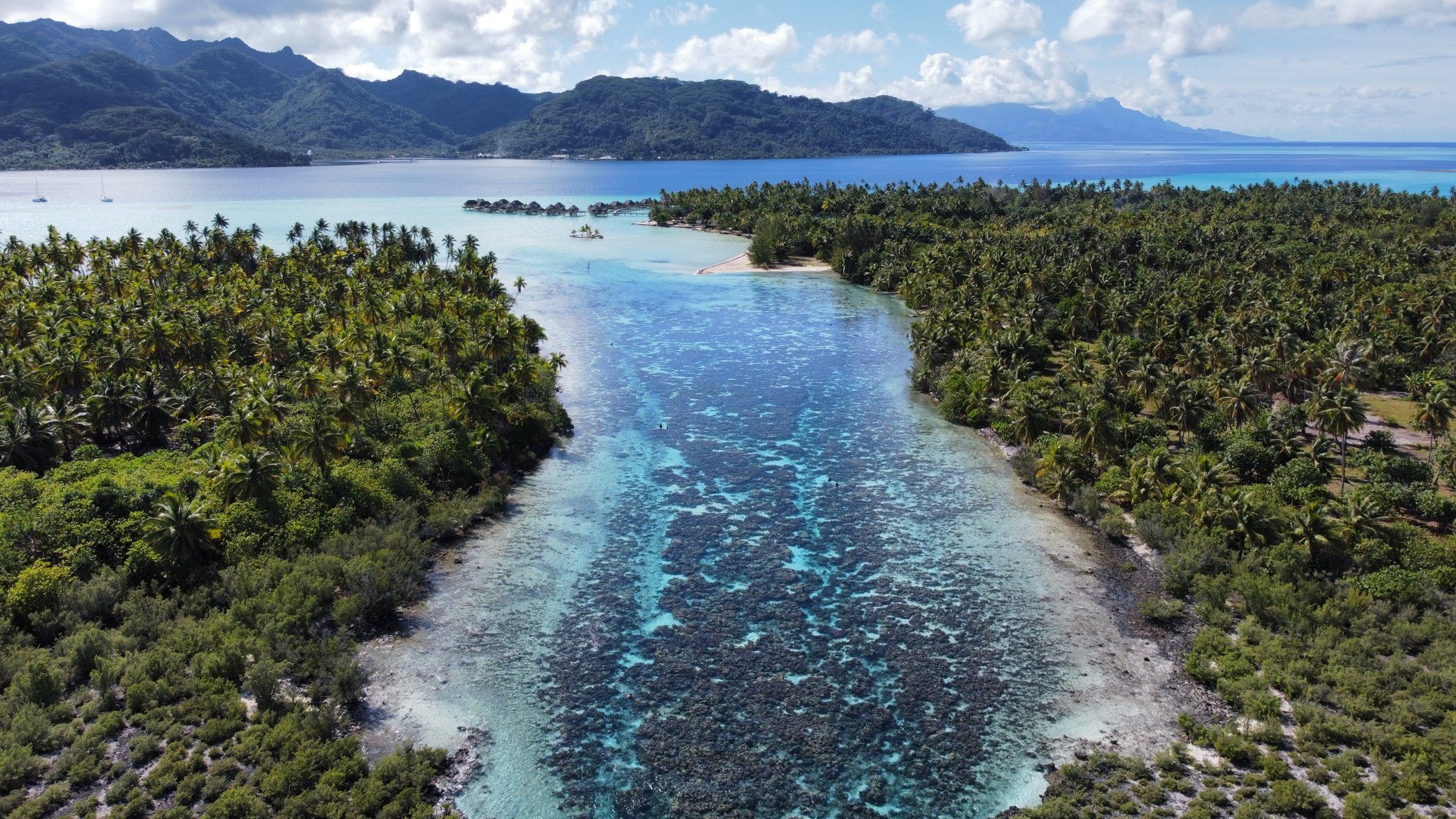 Aerial view of a coral garden channel running between two palm-lined shores at Taha'a, ringed by clear shallow water.